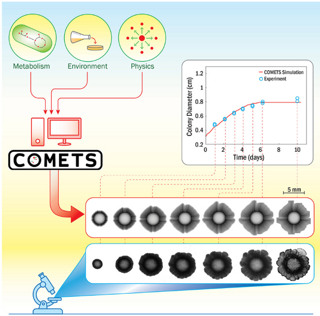 A 2017 Hariri award was instrumental in early development of COMETS leading to this study. 